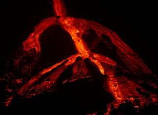 Científicos identifican un nuevo factor que podría haber contribuido a la mayor extinción de los últimos 500 millones de años