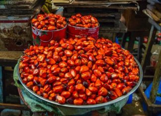 Científicos españoles descubren que uno de los ácidos del aceite de palma hace que el cáncer se propague más agresivamente