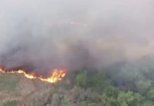 Bomberos acuden a incendio en predio baldío