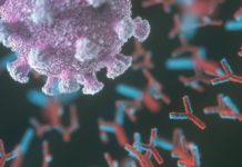 Covid-19: el gen que se vincula a que algunas personas padezcan una versión más grave de la enfermedad