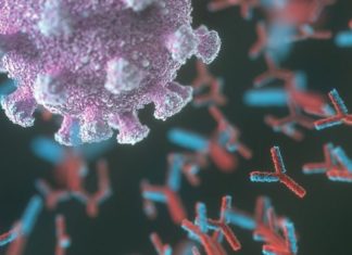 Covid-19: el gen que se vincula a que algunas personas padezcan una versión más grave de la enfermedad