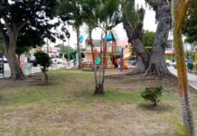 Detectan casos de vandalismo en por lo menos cuatro plazas de Madero