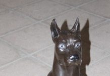 La leyenda del perro negro