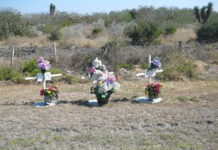 Los muertos de la carretera a Victoria