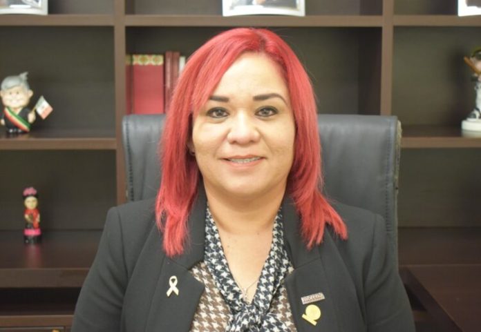 Nancy Ruiz Diputada