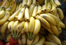 Prevén incremento de hasta un 50 % precios en frutas y verduras en diciembre