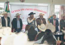 Tamaulipas y región noreste, líderes en producción de ganado Beefmaster