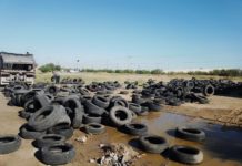 Recolectan más de 23 mil llantas inservibles durante primer mes de gobierno