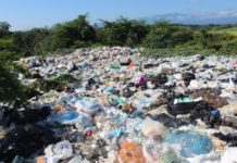 Municipios pésimos recolectores de basura: SEDUMA