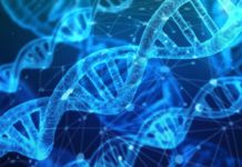 Científicos rastrean una rara enfermedad genética a través de siglos y continentes