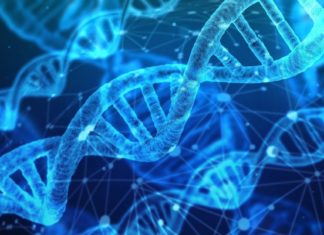 Científicos rastrean una rara enfermedad genética a través de siglos y continentes