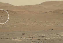 El róver Perseverance capta en video el vuelo de un helicóptero en Marte y las imágenes brindan “la vista más detallada” de la aeronave en acción