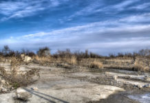 Campesinos abandonan 300 mil tierras en Tamaulipas por falta de apoyo