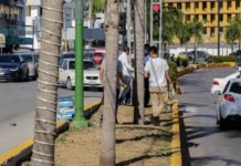 Piden a ciudadanía denunciar vandalismo