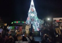 Alcalde Carlos Peña Ortiz enciende pinito de navidad