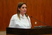 Reto legislativo; concretar el padrón de deudores alimentarios en Tamaulipas