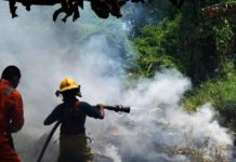 Bomberos siguen sofocando incendios en pastizales