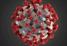 Matamoros registró el único caso de covid