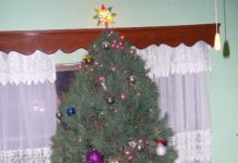 Cuidado con las arboles navideños