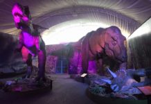 Dinosaurios llegarán a Tamaulipas en la próxima temporada vacacional