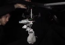 Ingenieros desarrollan un robot con ‘patas de ave’ que puede atrapar objetos y posarse en ramas