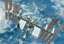 Planean enviar al espacio células musculares humanas para hallar el modo de prevenir el envejecimiento