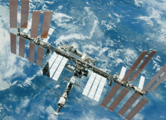 Planean enviar al espacio células musculares humanas para hallar el modo de prevenir el envejecimiento