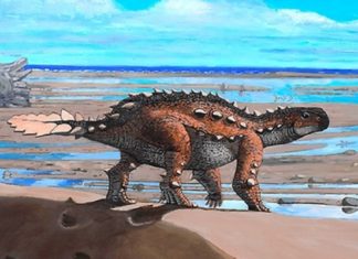 Descubren en Chile una nueva especie de dinosaurio con una inusual cola similar a un arma de los antiguos aztecas
