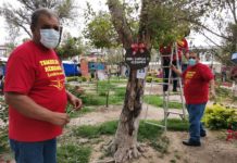 Escuelas decoran la Plaza Principal de Matamoros.