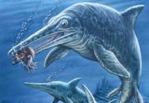 Así era la primera criatura gigante que habitó la Tierra, ¡medía 17 metros!