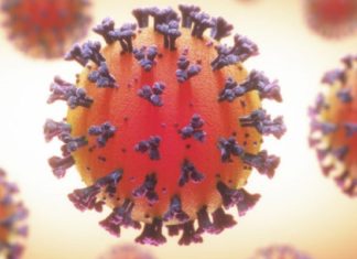 Pacientes con infecciones leves de covid-19 tienen una mejor memoria inmunológica ante el coronavirus que aquellos con síntomas graves