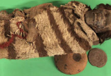 Huevos de piojos con ADN de momias sudamericanas de hace 2.000 años revelan detalles sobre cómo vivieron y murieron esas personas