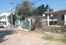 Cumplen sueño de doña Hermelinda, pavimentan su calle después de 40 años