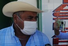 Plagas y sequía acaban con cosechas