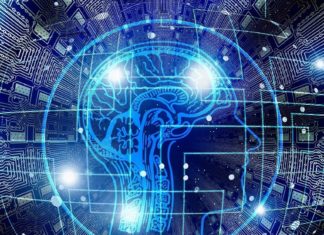 Científicos revelan cómo mejorar el rendimiento mental en tan solo 10 minutos