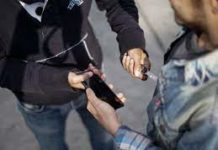 Delitos patrimoniales los más frecuentes en Tamaulipas