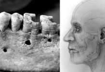 Hallan en Rusia 4 esqueletos en un pozo de 4 metros que fue cubierto con una plataforma de barro hace más de 2.300 años
