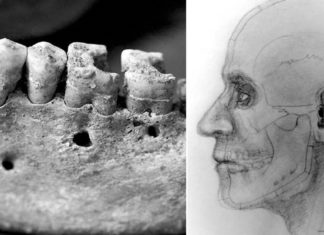 Hallan en Rusia 4 esqueletos en un pozo de 4 metros que fue cubierto con una plataforma de barro hace más de 2.300 años