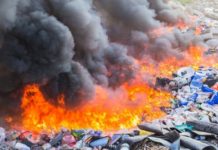 Reynosa contará con “EcoTránsito”