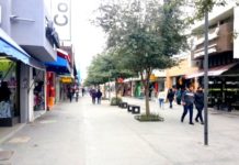 Alertan a población por bajas temperaturas en las próximas horas