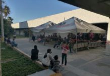 Registra IMSS más de 160 positivos con Covid-19 al día.