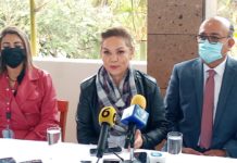 En seguridad seguimos debiendo a México: Cecilia Sánchez.