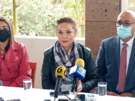 En seguridad seguimos debiendo a México: Cecilia Sánchez.