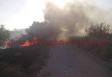 Bomberos siguen sofocando incendios en predios, viviendas, y comercios