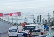 Positivos resultados de la aplicación de la vacuna transfronteriza