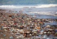 Tamaulipas tendrá su Procuraduría Ambiental
