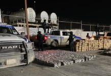 PET asegura droga y armas en la Frontera Chica