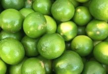 Continuará a la alza el precio del limón