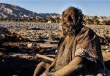 Abuelito sin hogar cumple 67 años sin bañarse; come animales atropellados para sobrevivir