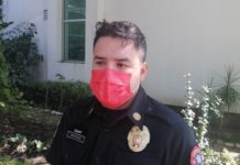 Riesgo entre sociedad presencia de caballos en zona urbana